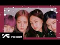 BLACKPINK VINES YOU MUST WATCH!☆