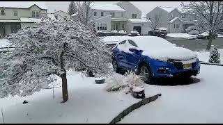 My resident New Jersey Snow Fall beautiful,2022