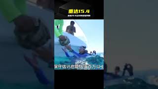 A man smuggled a rare giant clam shell weighing 15.4 kilograms, worth millions! #GiantClamSmuggli...