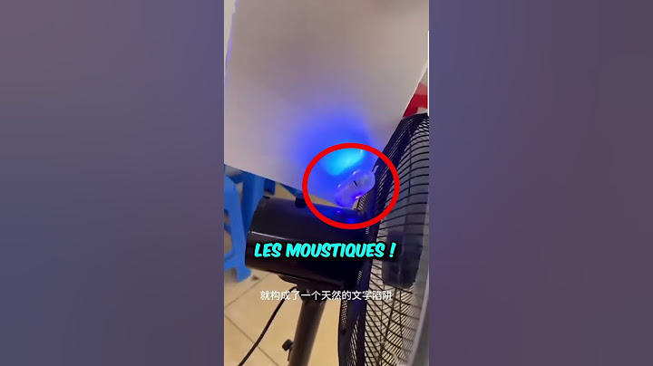 Cet Homme a fait la Meilleure Invention Anti-Moustiques 🦟
