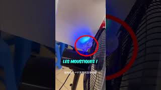 Thumbnail for Cet Homme a fait la Meilleure Invention Anti-Moustiques 🦟