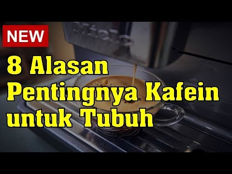 8 Alasan Pentingnya Kafein untuk Tubuh