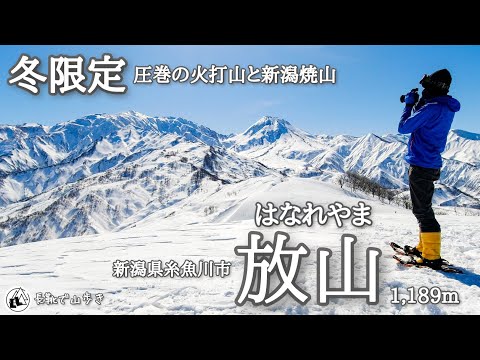 【雪山登山】放山(はなれやま)　シャルマン火打スキー場から　知る人ぞ知る糸魚川の雪の名峰　新潟県糸魚川市　2025年2月15日