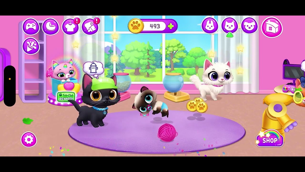 ŞEKER KEDİ BİR SİYAM KEDİSİYMİŞ 🥰 ÇOK GÜZELLER