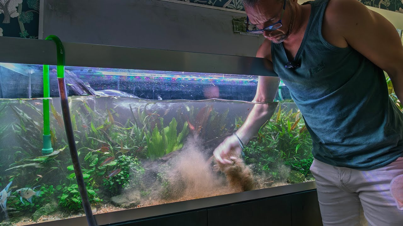 My biggest aquarium needed a reset. (4K)