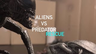 Aliens vs Predator: Rescue (An AVP Stop Motion )