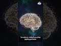 الكرياتين سحر العضلات ولا مدمر الكلى 