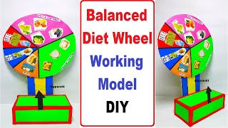 balanced diet wheel working model - diy - simple and easy steps | DIY pandit