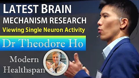 Latest Brain Mechanism Research | View Single Neur...