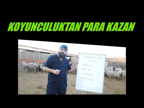 KOYUNCULUĞA BAŞLARKEN DİKKAT