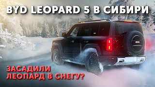 Первый обзор BYD LEOPARD 5 в РОССИИ. 687 л.с. РАЗГОН 4.8 / Проверили ЛЕОПАРД 5 НА БЕЗДОРОЖЬЕ!