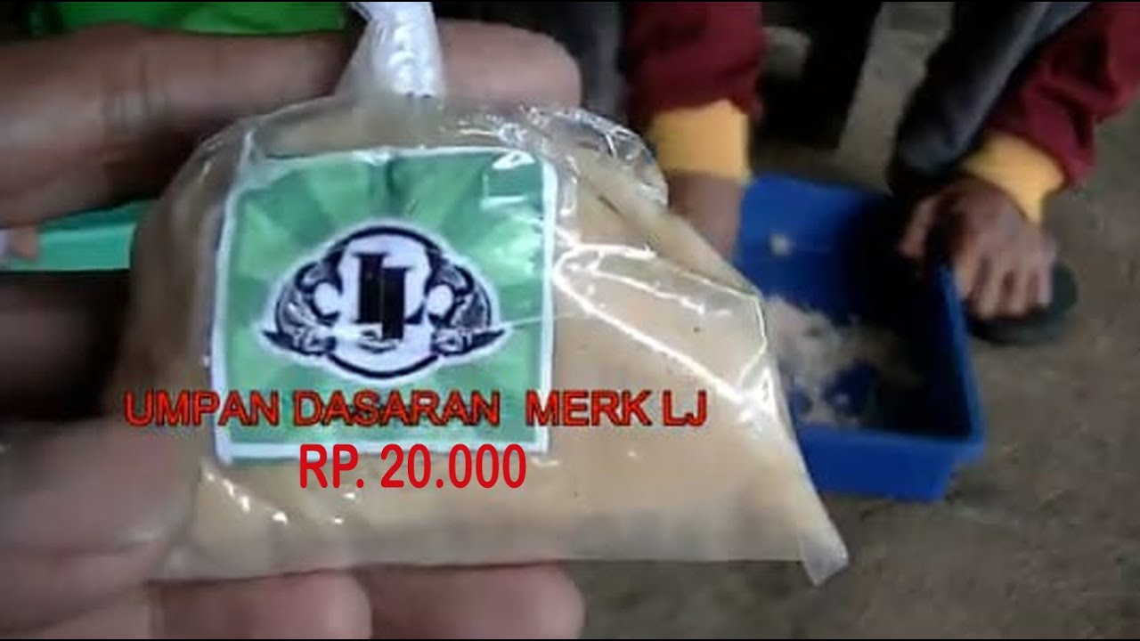 UMPAN IKAN MAS | UMPAN DASARAN LJ + DABLINGAN + ESSEN SALAM 