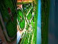 Baydhabo Janaay Baydhbo City Park Janaaayhd Baydhabo Janaay Baydhbo City Park Janaaayhd