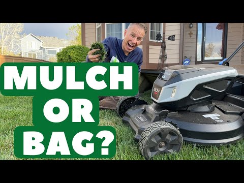 Mulching vs. Bagging