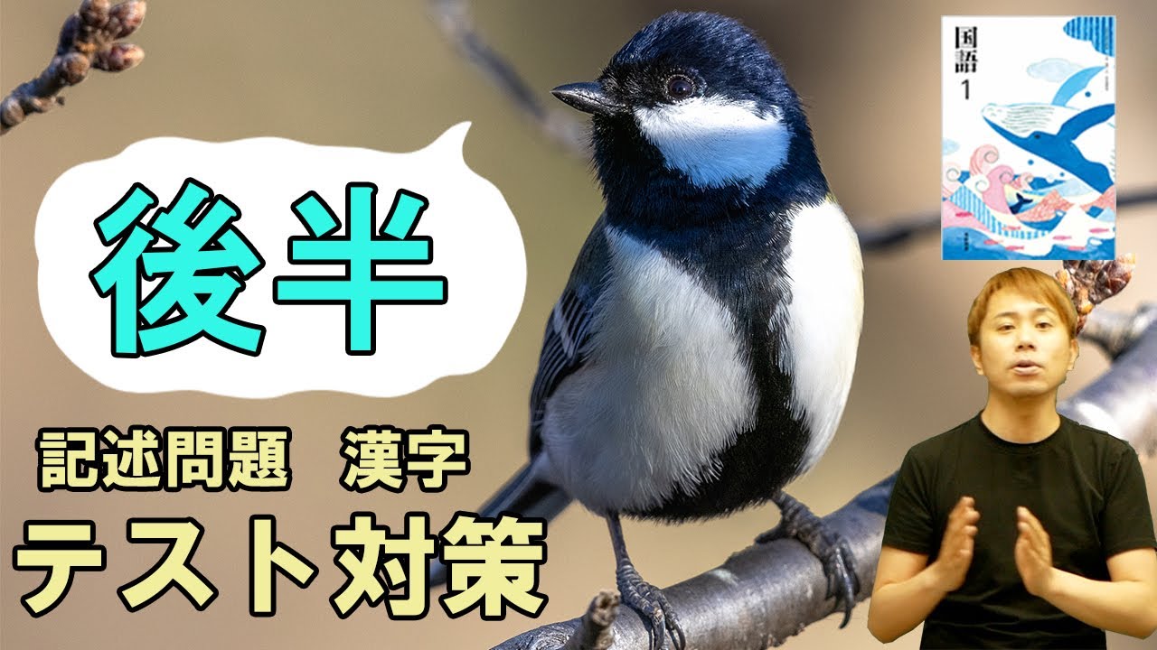 【中1国語】「言葉」をもつ鳥、シジュウカラ・完全解説・後半【光村図書】【国語読み取り】