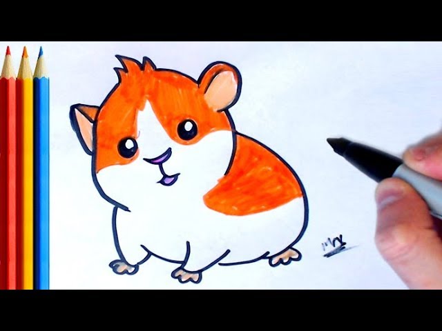 fast-version) How to Draw Hamster Easy - Step by Step Tutorial For Kids -  YouTube