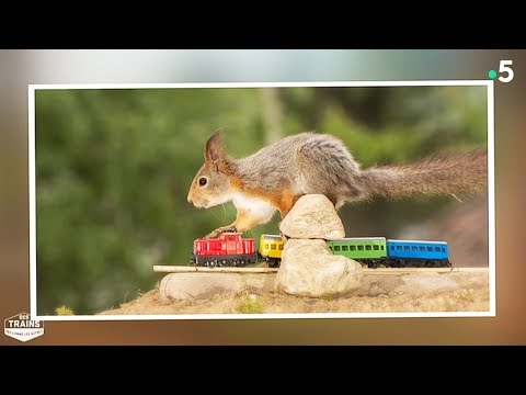 Ce photographe suédois fait un travail de fou - ZAPPING NOMADE