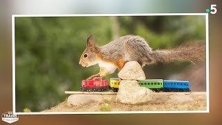 Ce photographe suédois fait un travail de fou - ZAPPING NOMADE