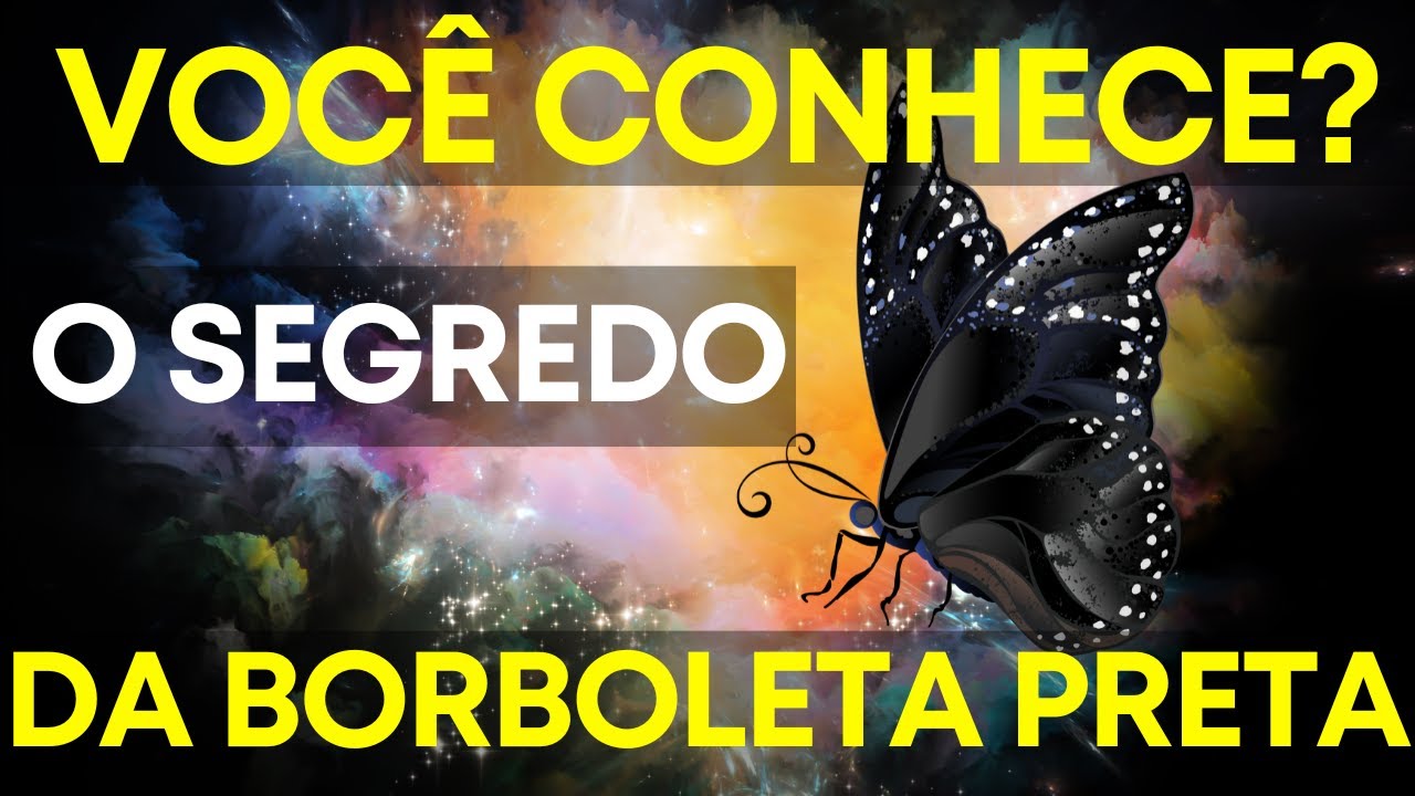 Significados da Borboleta - Os Segredos de uma Borboleta Preta ! - YouTube