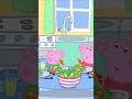 Всех пох😂моя озвучка🥦 #свинкапеппа #peppapig #жизненныемемы #жизаэто #жизофрения #memes #прикол #мем