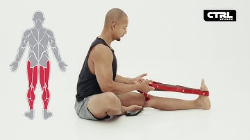 Seated Hamstring Stretch - CTRL Sports