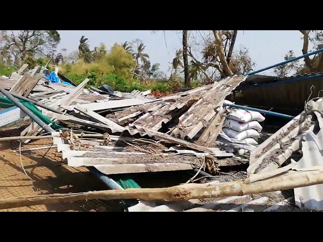 Chicken Poultry Farm 100 % Damaged by #CycloneFANI