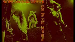 Screaming Trees-End Of The Universe (Live 1989 in Chicago at the Cabaret Metro)