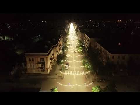 ღამის ფოთი