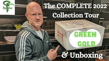 Unboxing Dream Snakes & Collection Tour 2022