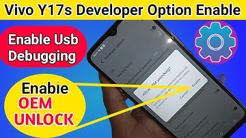 Vivo y17s developer option and OEM unlock