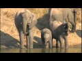 May 10 WildEarth Safari AM drive: Elephants with Pieter,Quarantine with HT