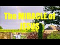 Miniature de la vidéo de la chanson The Miracle Of Jesus
