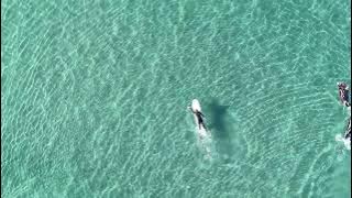 DJI 20251127083743 0016 D