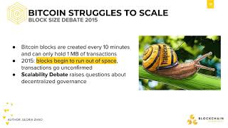 [CS198.1x Week 2] Bitcoin Struggles to Scale