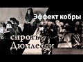 "Эффект кобры" и скандал с "сиротами Дюплесси"