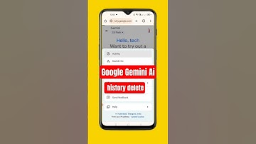 Google Gemini AI History Delete  #shorts #ytshorts #viralvideo #youtubeshorts