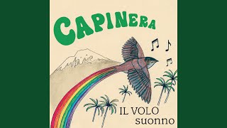 Vignette de la vidéo "Capinera - Il volo"