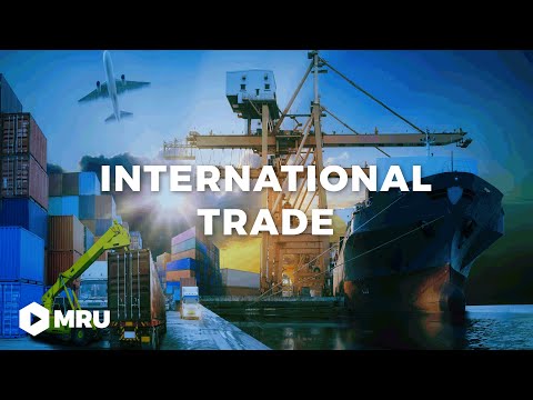 Video: Kodėl išsivysčiusios šalys pritaria laisvosios prekybos idėjai?