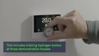 Hydrogen boilers have been installed in demonstration houses