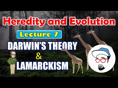 Darwin&rsquo;s theory and Lamarckism || Heredity and Evolution Class 10 SSC CBSE