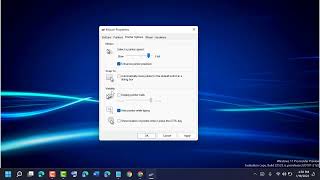 How To Fix Mouse Pointer Automatically Moves in Windows 11