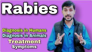 Rabies | Diagnosis-Causes-Treatment-Prevention