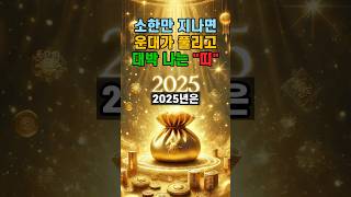 소한만 지나면 운대가 풀리고 대박 나는 띠#운세 #대박 #사주 #을사년