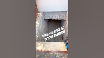 This plumber’s tip could save you thousands #plumbing #plumber #bluecollar @dewalttv