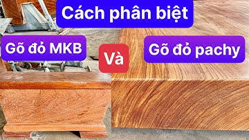 Cách phân biệt sập gỗ Gõ Đỏ MKB và Gõ Đỏ Pachy, báo giá sập Gõ Pachy, kích thước 273 * 204 * 20 (cm)