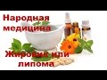 Лечение жировика народными средствами