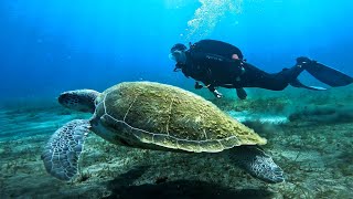 TRY DIVE TENERIFE - PIERWSZE NURKOWANIE TENERYFA SPOD WODY :)