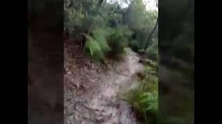 Hells gate noosa