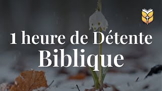 1 Heure de Détente Biblique. Plongez dans la Sérénité Spirituelle #bible #biblevision