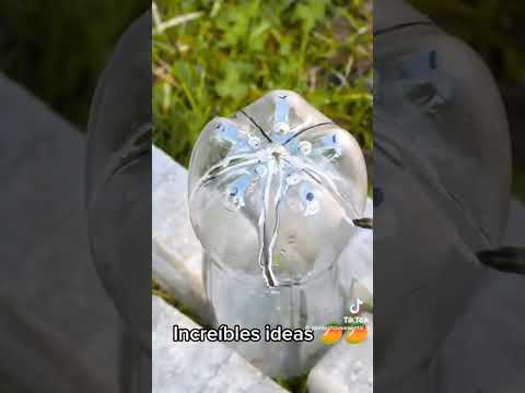 Watch the video for Positivo completa por pacay